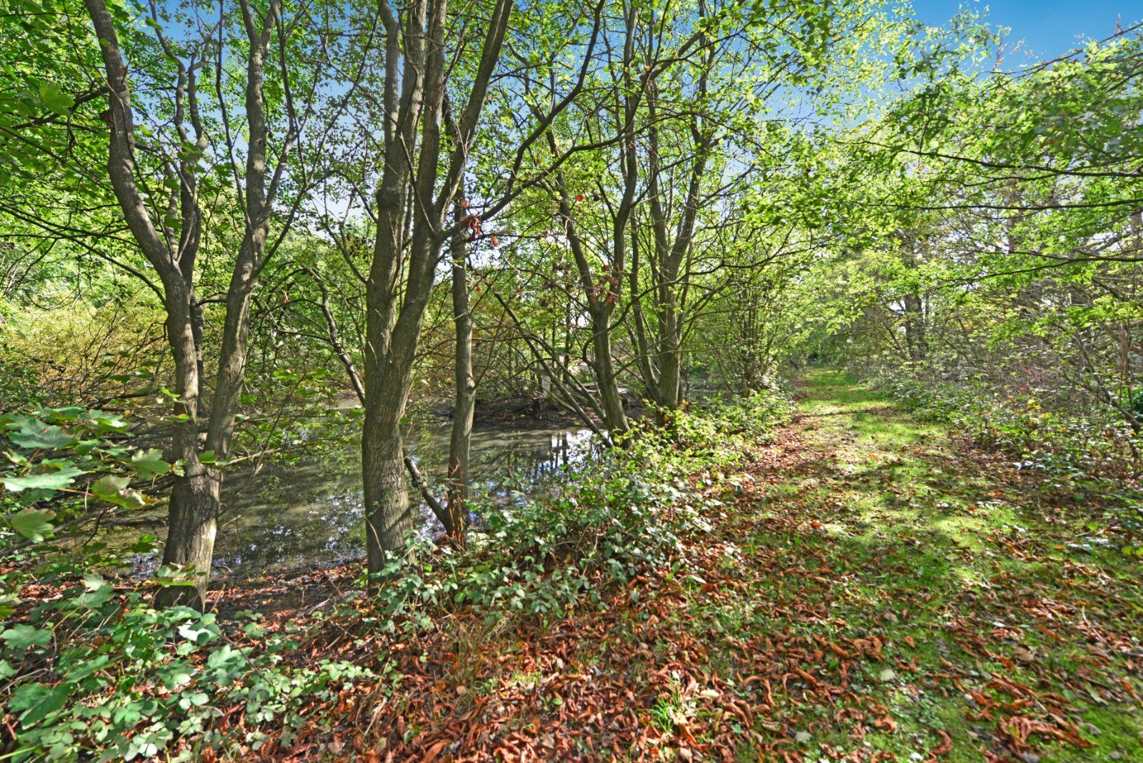 Property Image 19