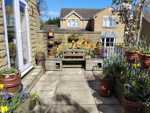 Property Image 16