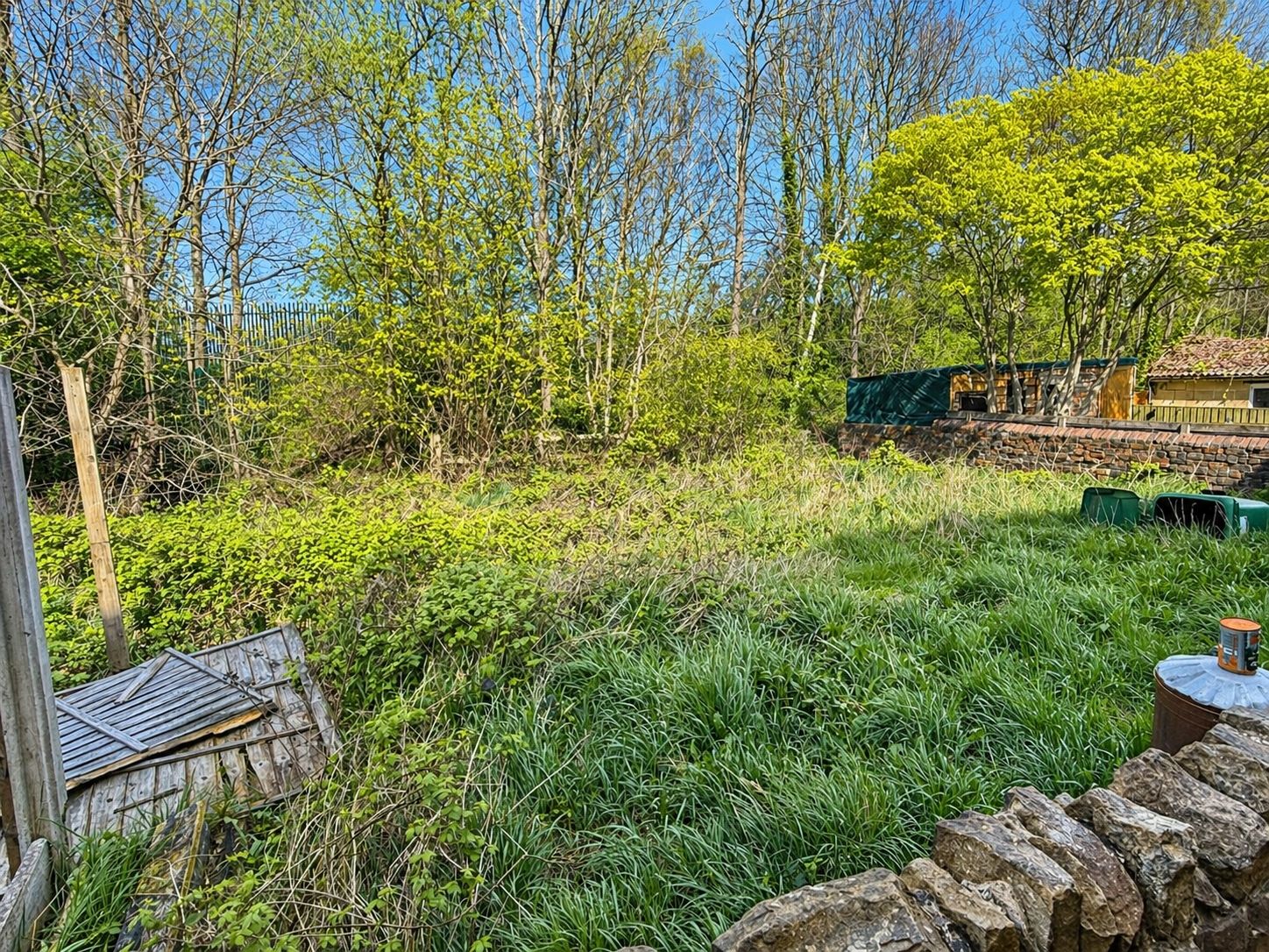 Property Image 6