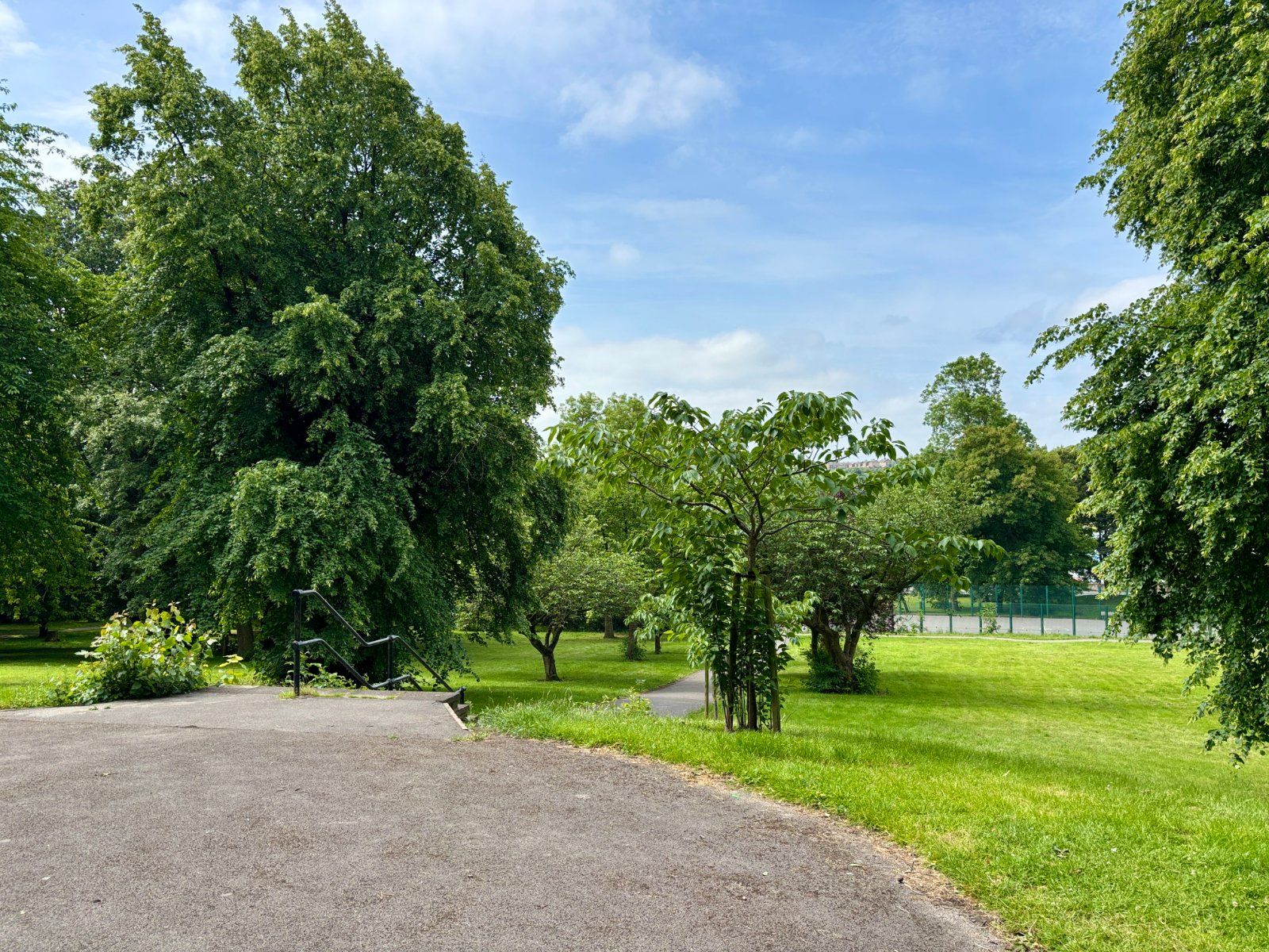 Property Image 13