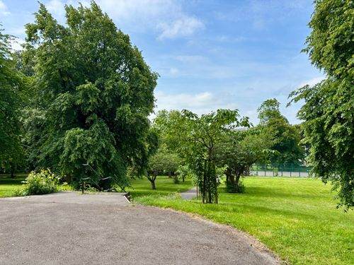 Property Image 13