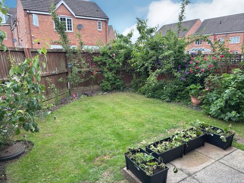 Property Image 16