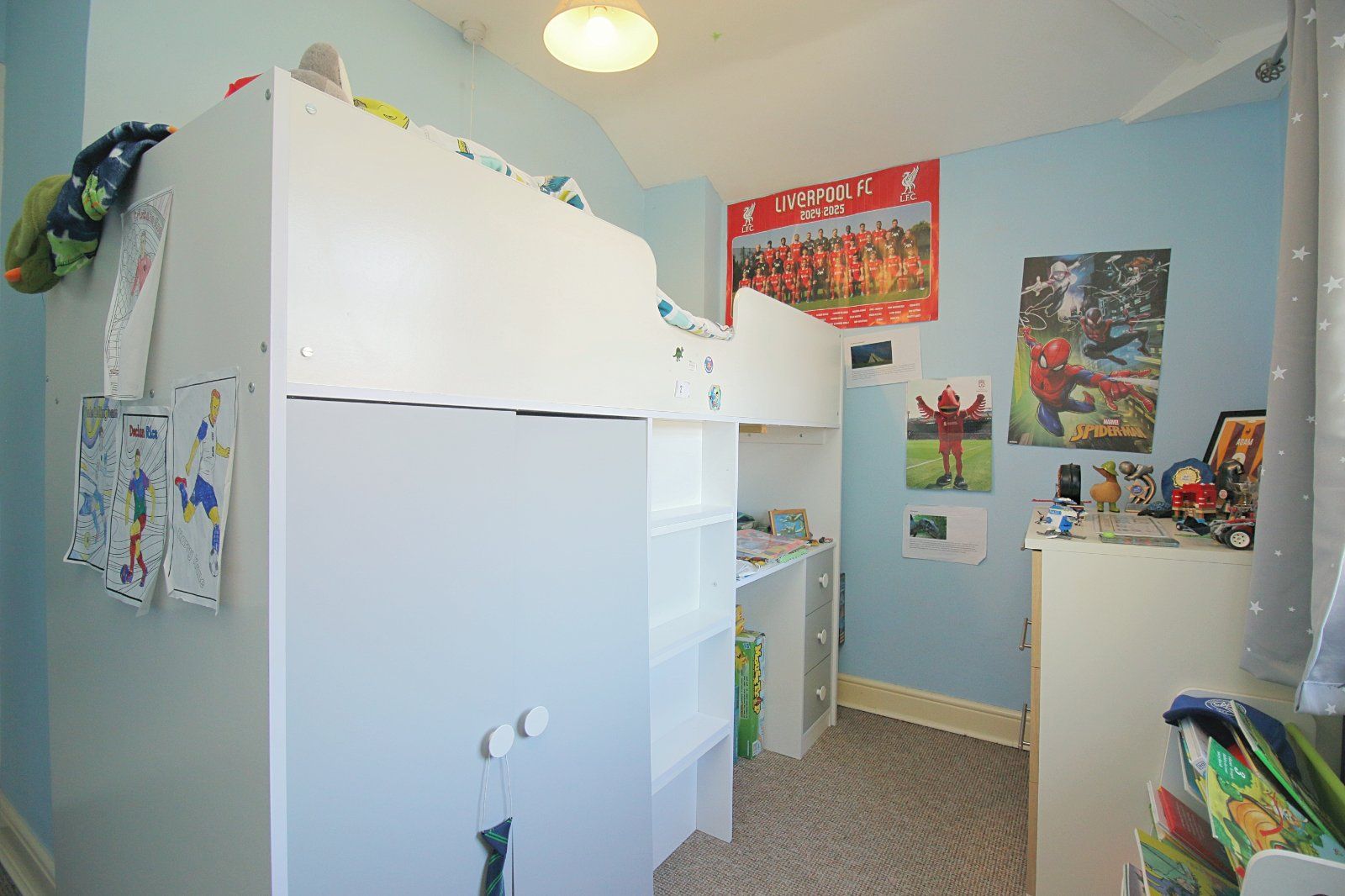 Property Image 17