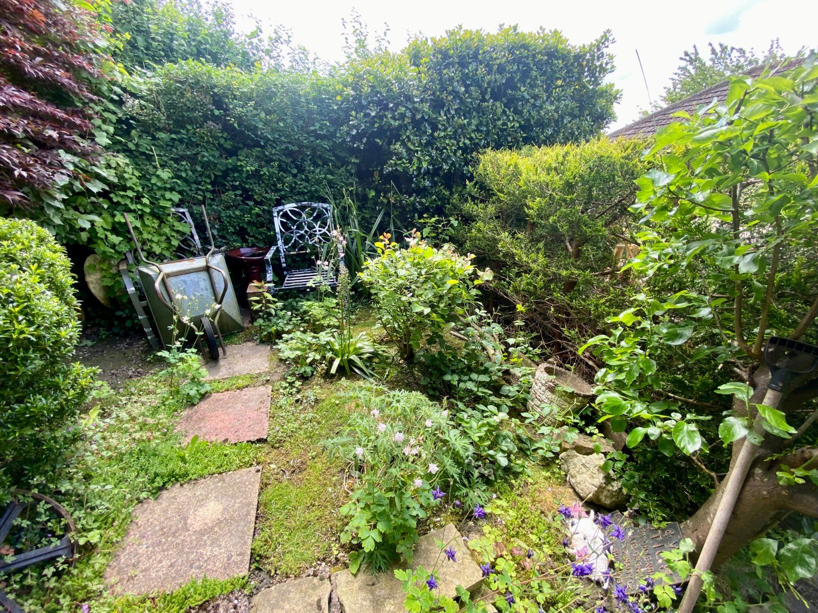 Property Image 12