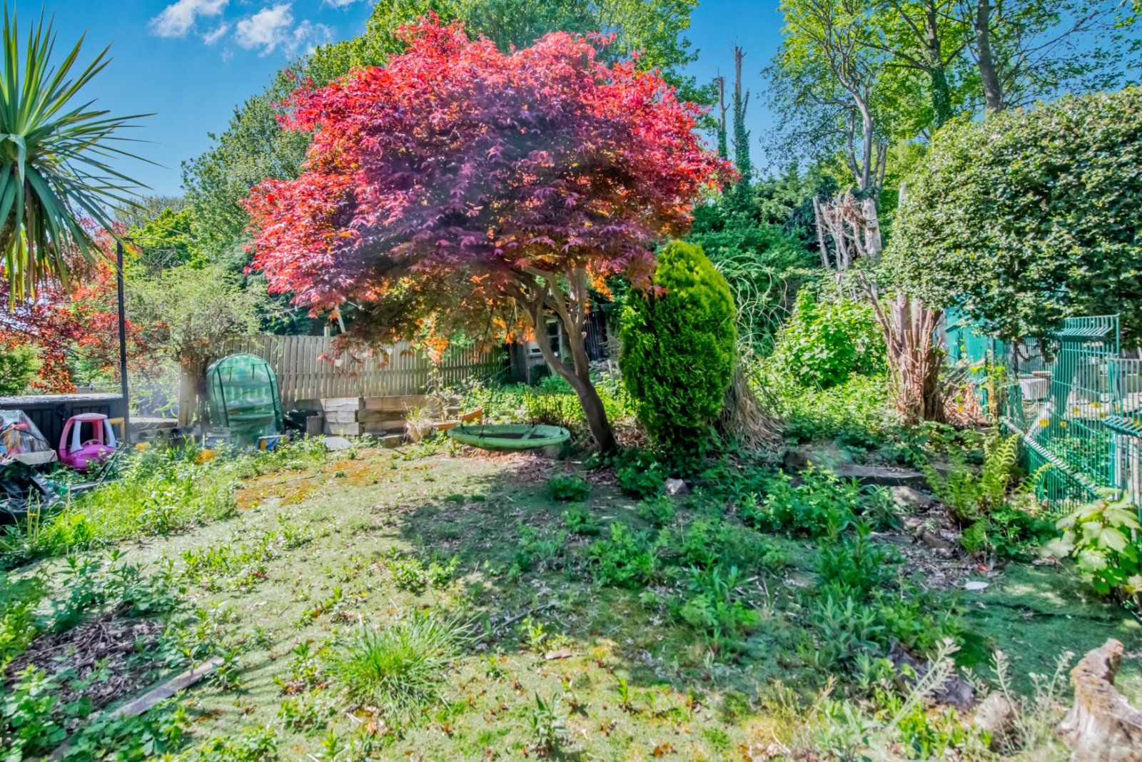 Property Image 18