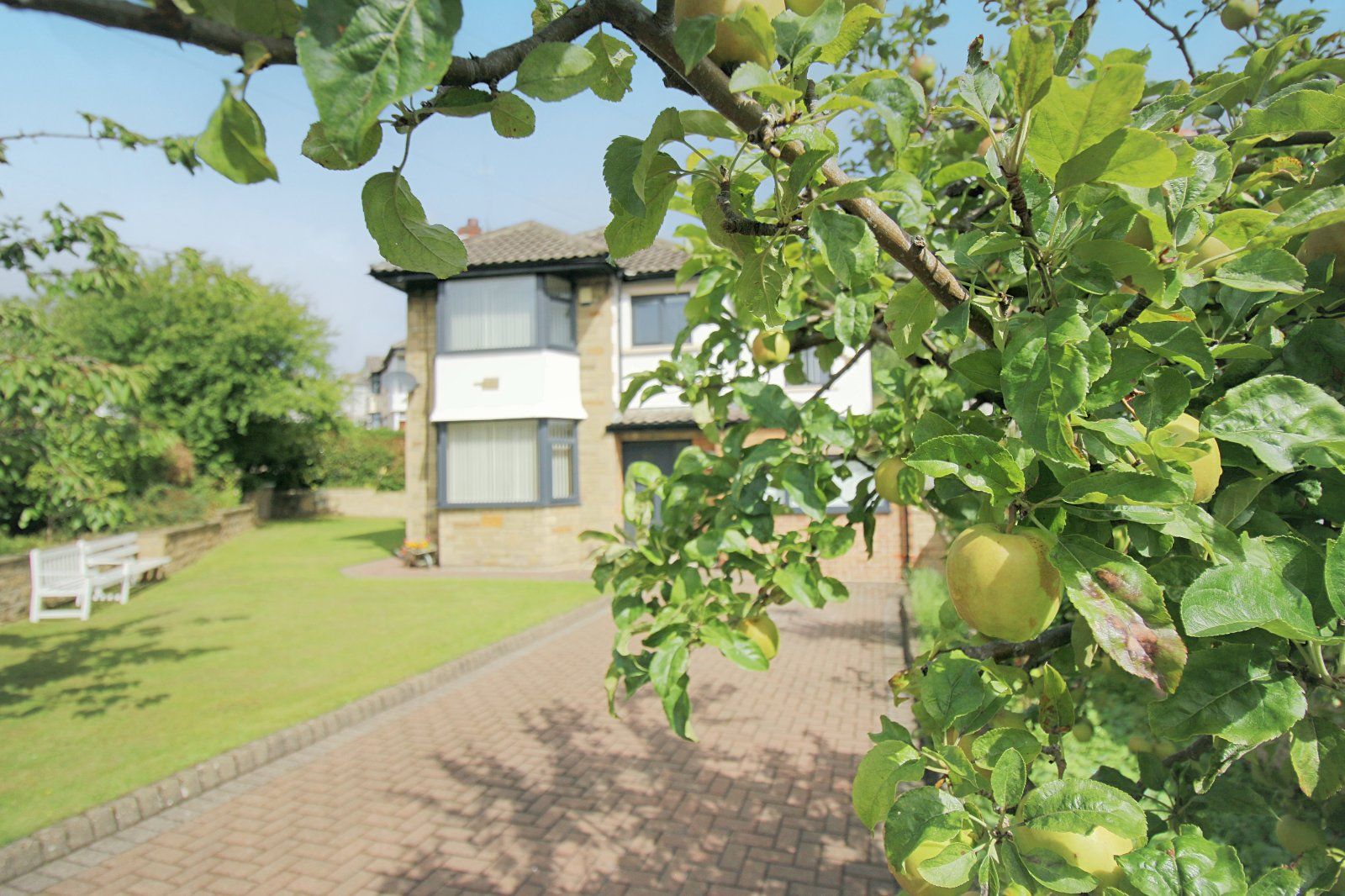 Property Image 37