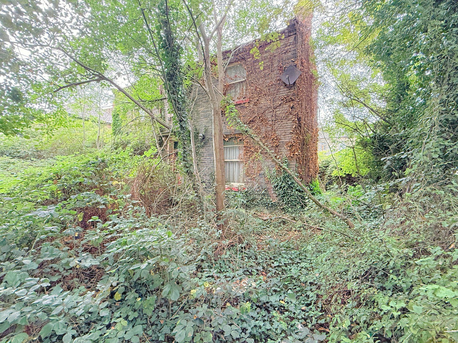 Property Image 30