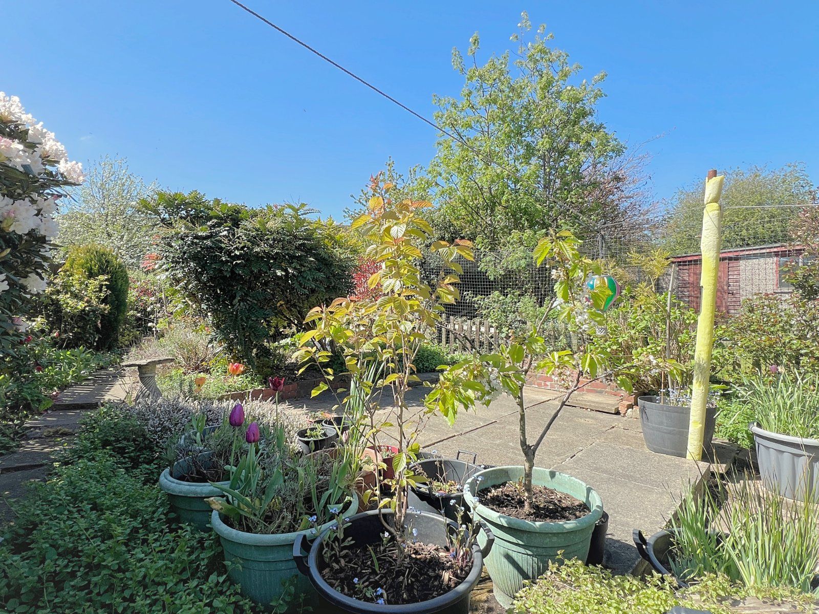 Property Image 21