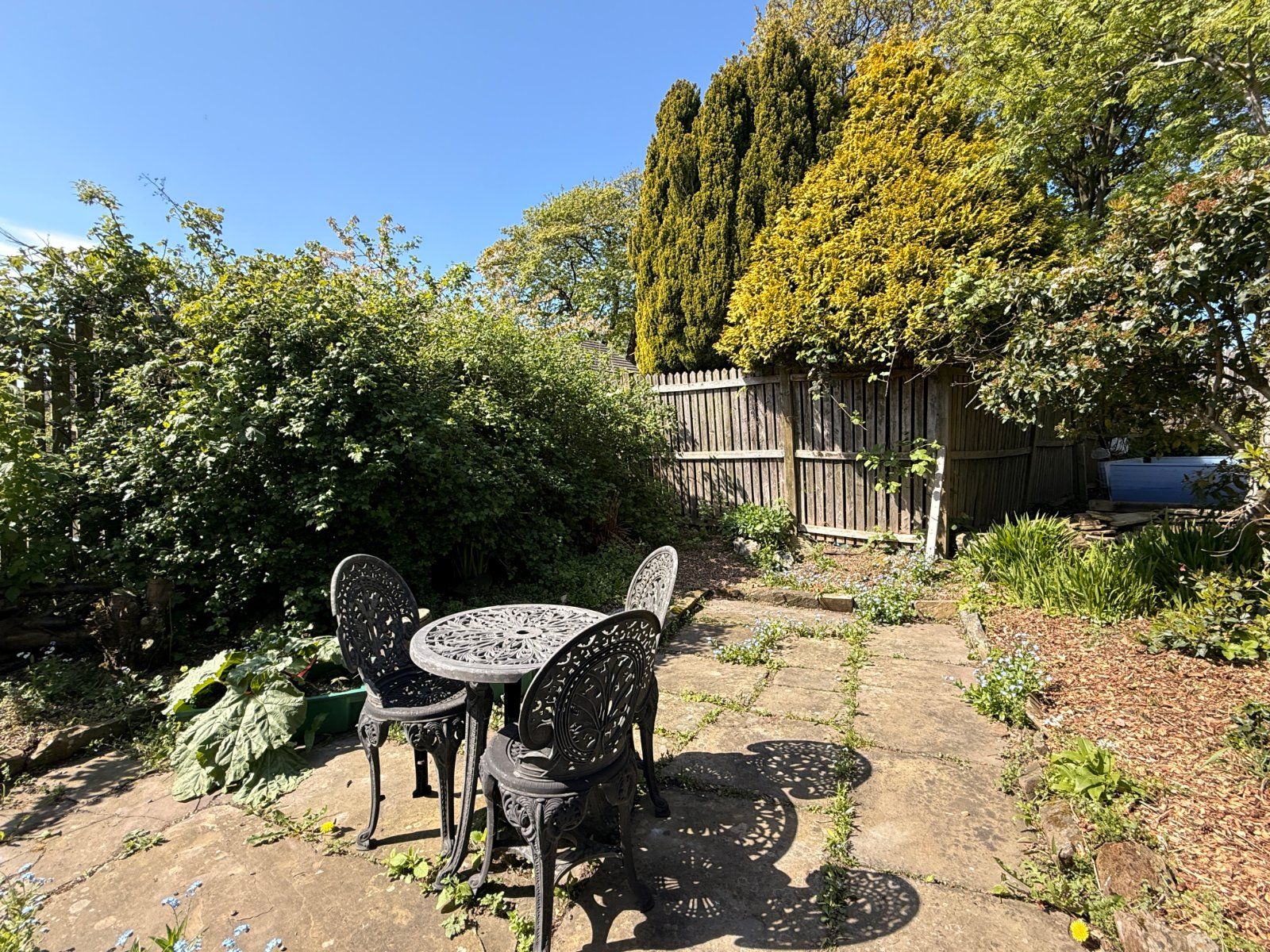 Property Image 47